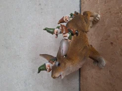 Konijn met kabouters