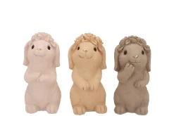 Konijnen natuurlijk bruin 10x8x17