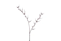 Kunstknop prunus