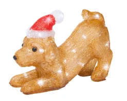 Led hond acryl steady