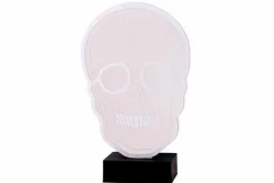 Ledlicht skull