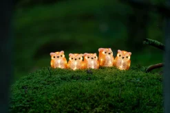 Lichtsnoer 5 acryl uilen 5m 40led warmwit voor buiten