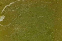 Luz Your Senses kaars