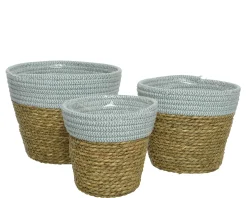 Mand zeegras groen 14cm