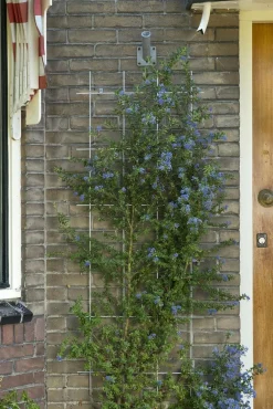 Metalen klimrek grijs