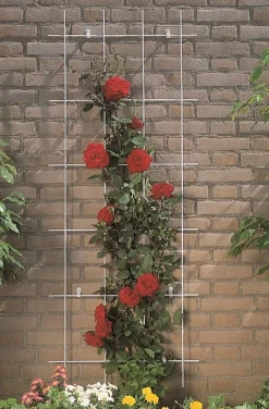 Metalen klimrek groen