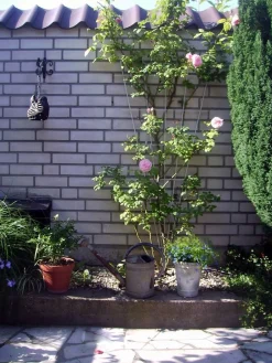 Metalen klimrek V-vorm groen