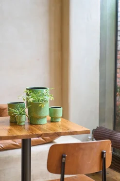 MINIPOT D7,5 MOON GRASGROEN