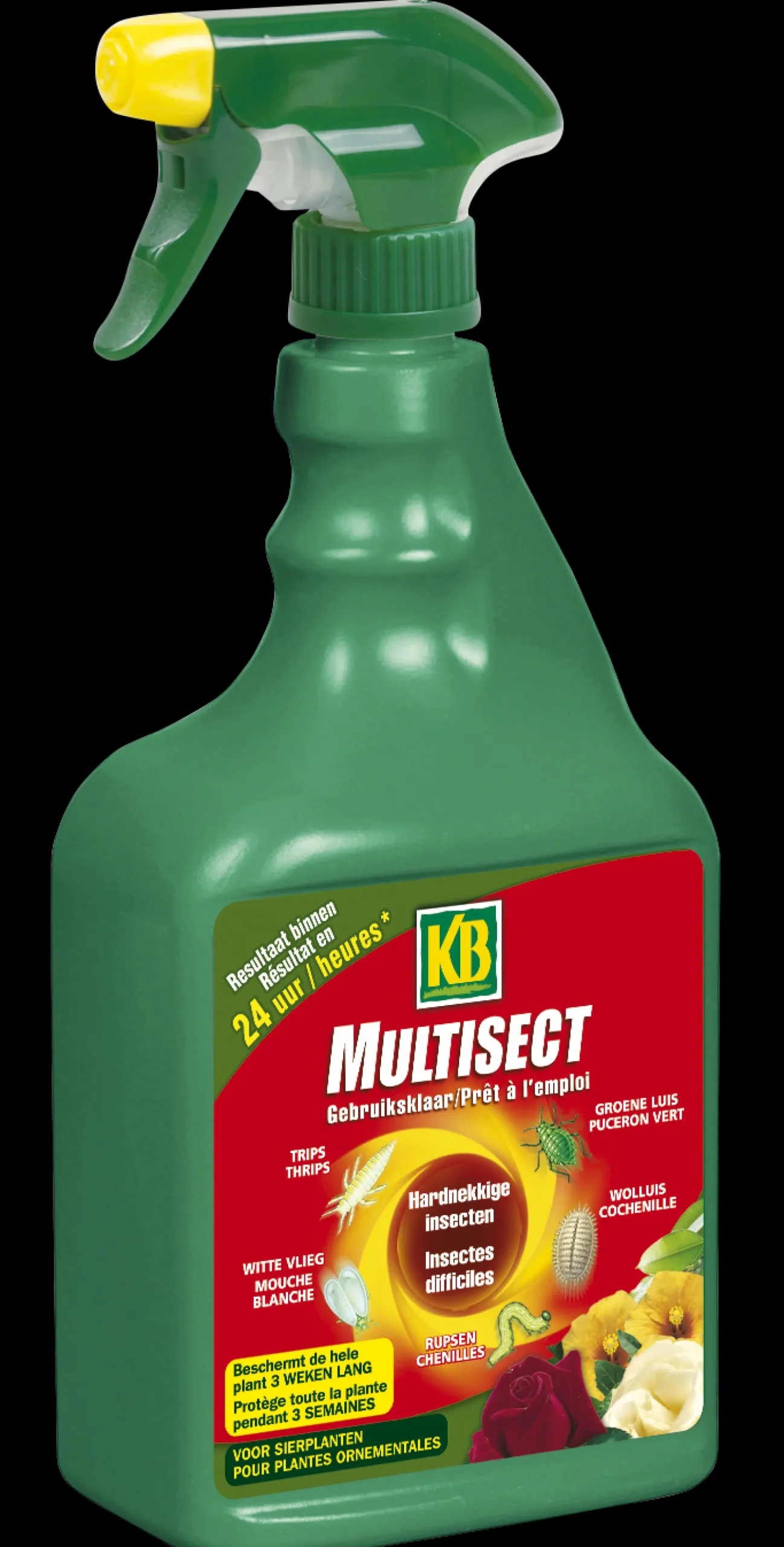 Multisect Spray tegen hardnekkige insecten en Buxusmot
