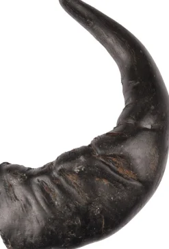 Nature snack hoorn large 1stuk