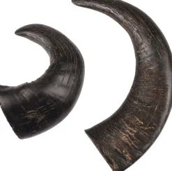 Nature snack hoorn medium 2stuks