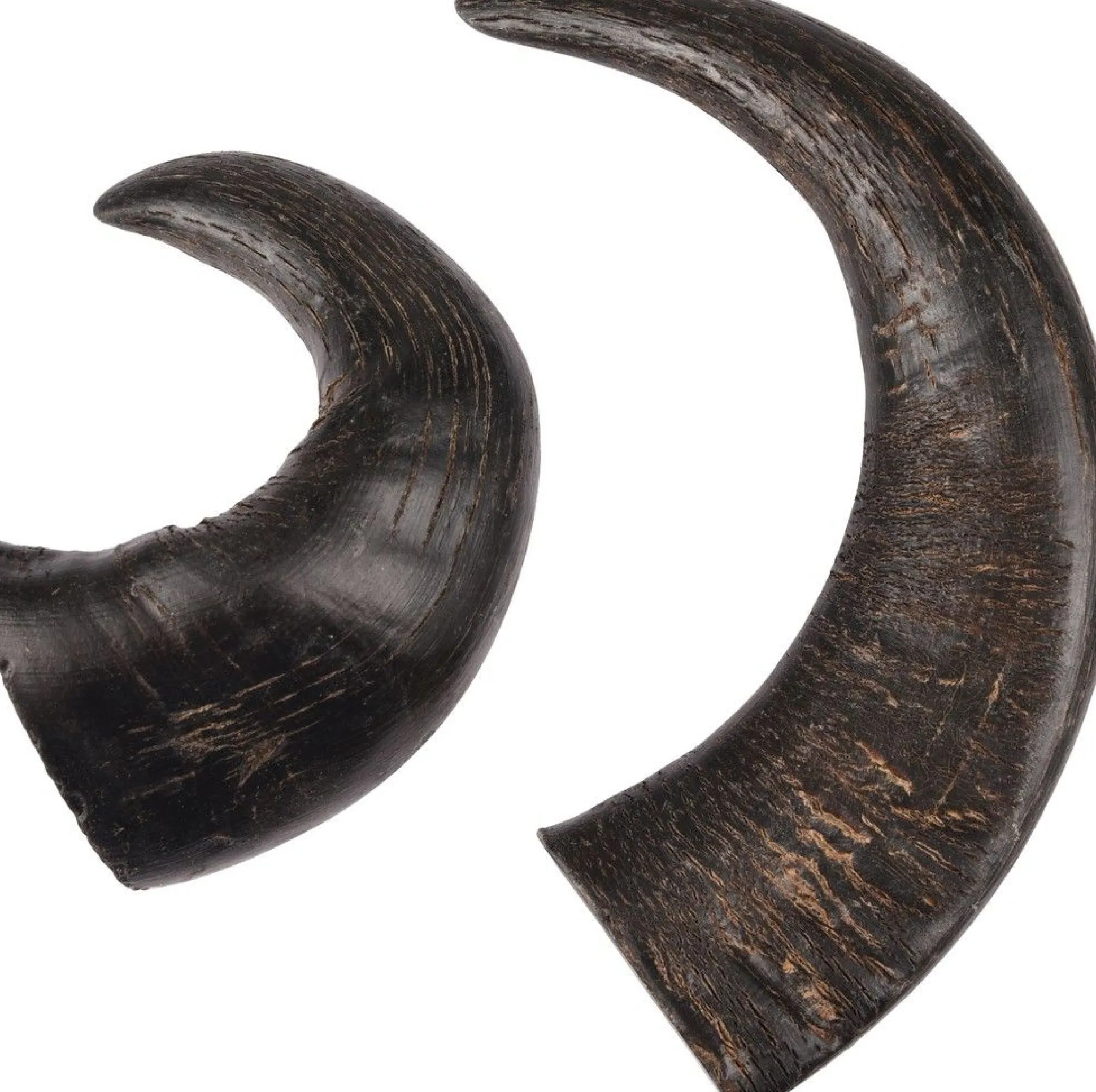 Nature snack hoorn medium 2stuks