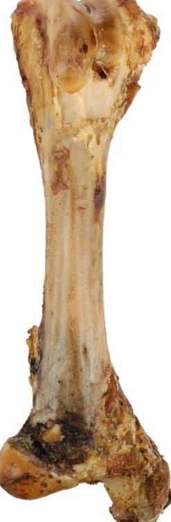 Nature snack vlezig tibia been (jumbo been) 800gr