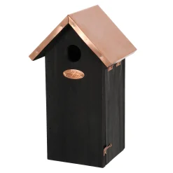 Nestkast zwart koper koolmees