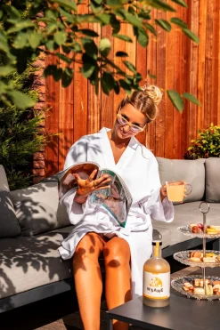 N'Sane ginger – lemon melisse alcoholvrij 70cl