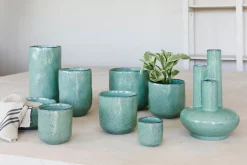 Orchidee pot glisten