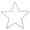 Ornament ster d40cm