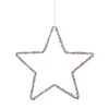 Ornament ster d25cm