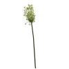 Ornithogalum groen 71 cm