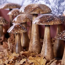 Paddenstoel herno small