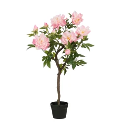 Pioen in pot - l40xb50xh96cm