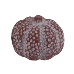 Pompoen 12x10cm