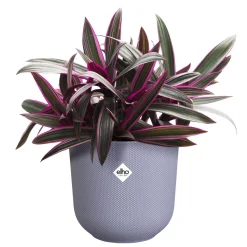 Pot jazz rond 19cm lavendel lila