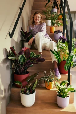 Pot jazz rond 26cm toscaans rood