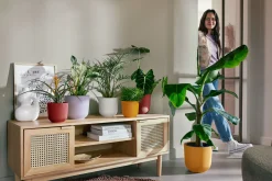 Pot jazz rond 14cm zijdewit