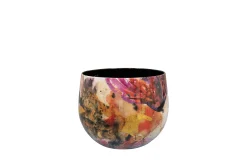 Pot sweet magnolia d15 h13