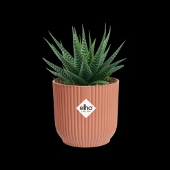 Pot vibes fold 7cm delicate roze