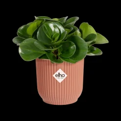 Pot vibes fold 11cm delicate roze