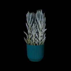 Pot vibes fold 25cm diepblauw