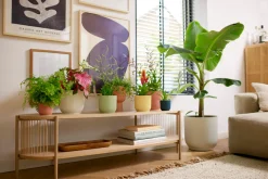 Pot vibes fold 16cm sorbet green