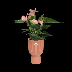 Pot vibes fold coupe 14cm delicate roze