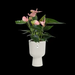 Pot vibes fold coupe 14cm zijdewit