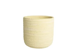 PRIMROSE Minipot D11