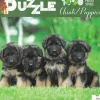 Puzzle 1000 stuks Chiots/Puppies