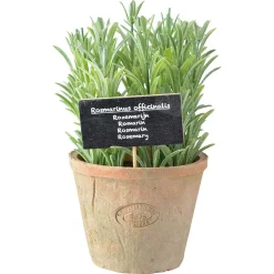 Rosemarijn in at pot l