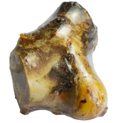 Runderknokkel 1 st. (krimp) (met label)