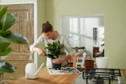 SELF-WATERING INSERT 36CM LIVING BLACK