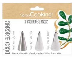 Set van 3 spuitmondjes