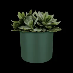 SOFT ROND 16CM BLAD GROEN