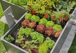 Startset voor verhoogde bloembedden en moestuinen