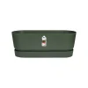 TROUGH LONG 50CM BLAD GROEN