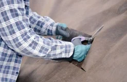 Tuindoek gold 1,15x10m 125g/m²