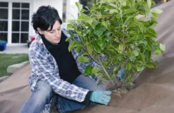 Tuindoek gold 1,15x10m 125g/m²