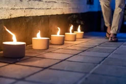 Tuinkaars in ronde terracotta schaal wit 11u - zwart