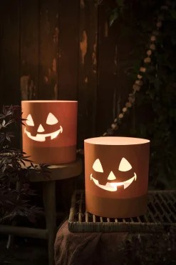 Tuinkaars Royal flame in terracotta schaal 13u - ivoor