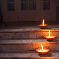 Tuinkaars Royal flame in terracotta schaal 13u - ivoor